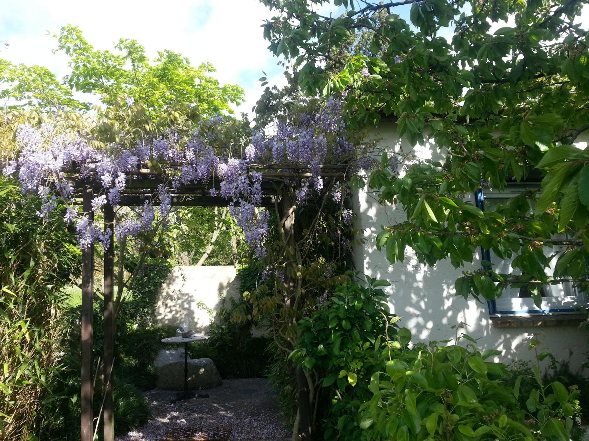 Le Cerisier Bed & Breakfast Mareil-Marly Exterior foto