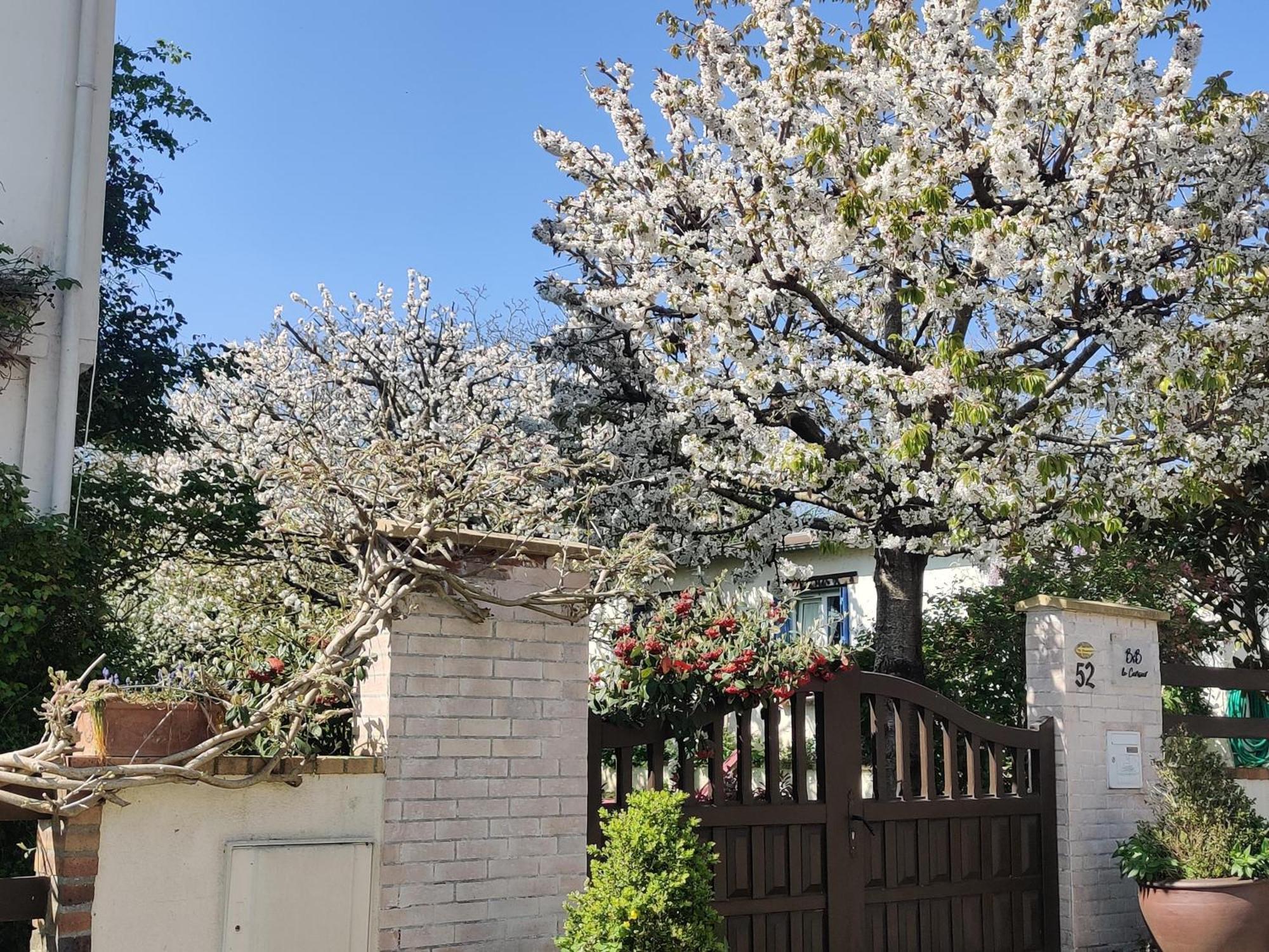 Le Cerisier Bed & Breakfast Mareil-Marly Exterior foto