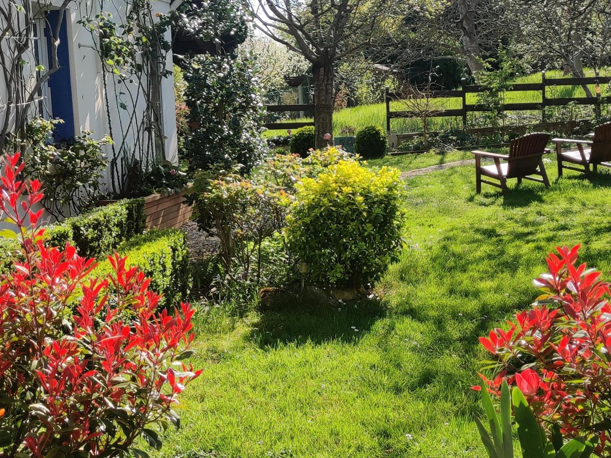 Le Cerisier Bed & Breakfast Mareil-Marly Exterior foto